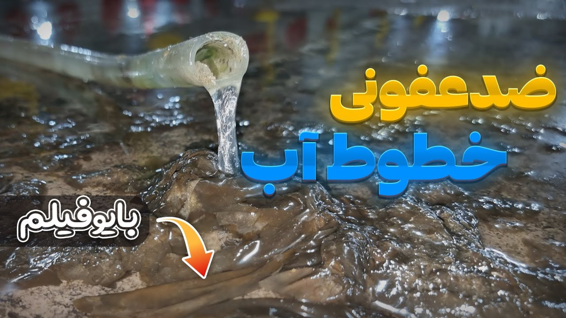 ضدعفونی یا بایوفیلم زدایی از خطوط آب آشامیدنی سالن مرغداری دکتر محمد مهدی عبدالهی (دامپزشک)