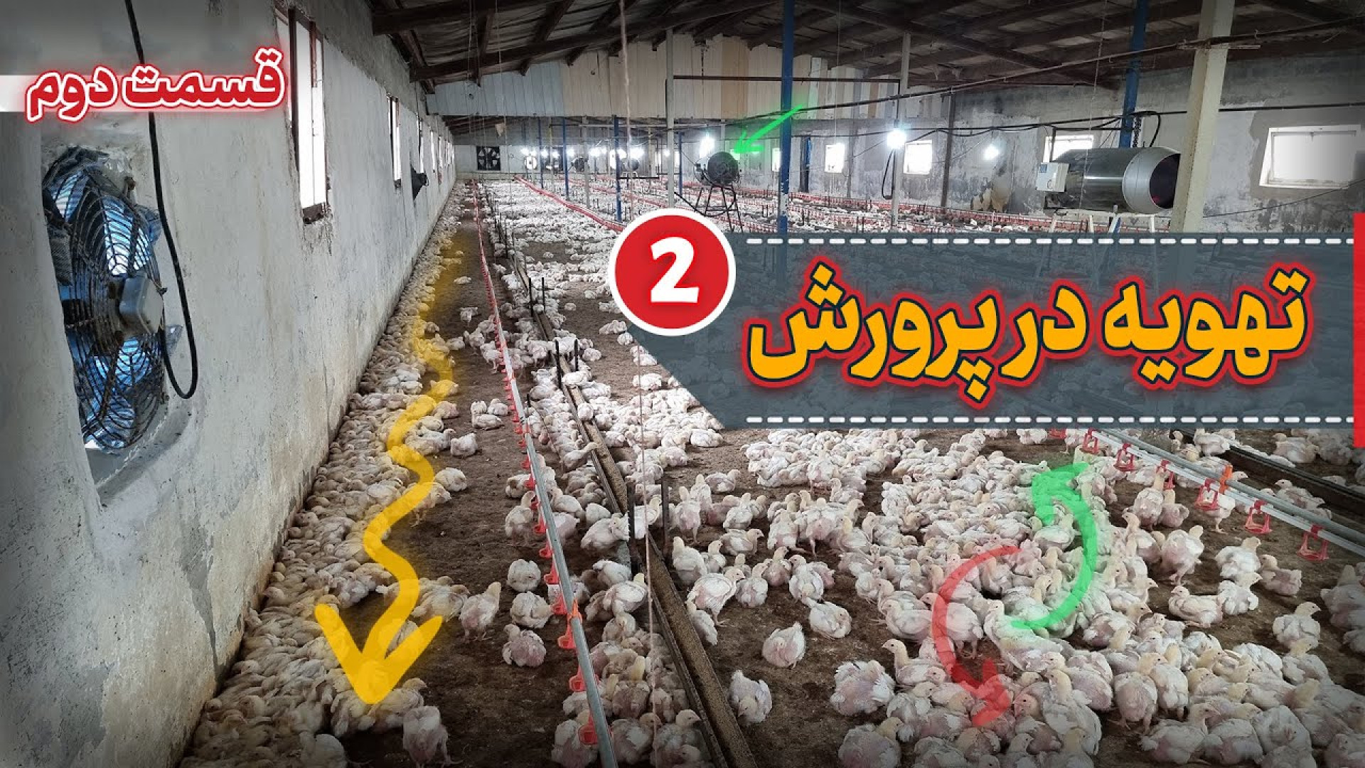 اصول تهویه در پرورش مرغ گوشتی (قسمت‌‌دوم) دکتر محمد مهدی عبدالهی (دامپزشک)