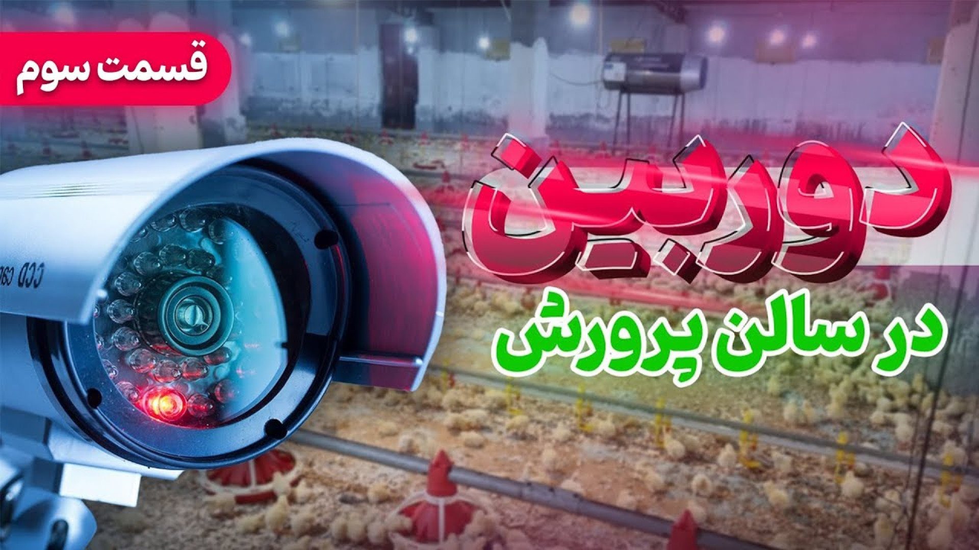 دوربین مداربسته در سالن مرغداری (قسمت سوم) دکتر محمد مهدی عبدالهی (دامپزشک)