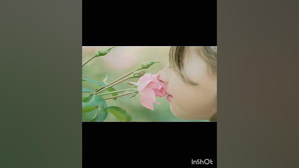 حس بویایی هپروتی