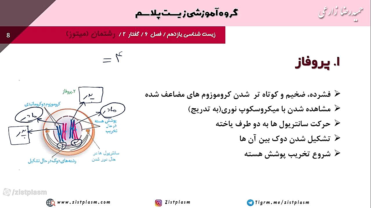 آموزش تقسیم میتوز فصل شش یازدهم فصل تقسیم یاخته پزشکی ویرایش ژن
