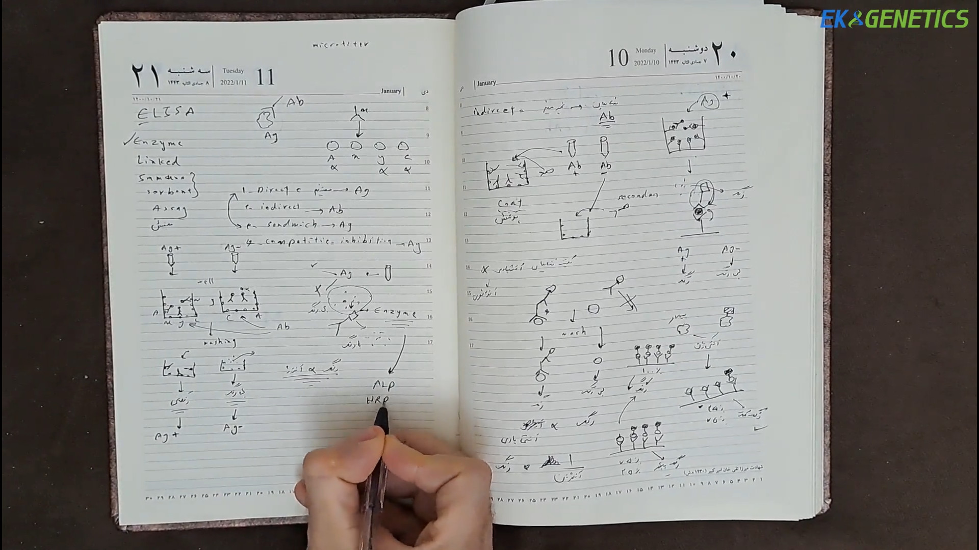 آموزش کامل تکنیک الایزا (ELISA) هر 4 روش به زبان فارسی لایک