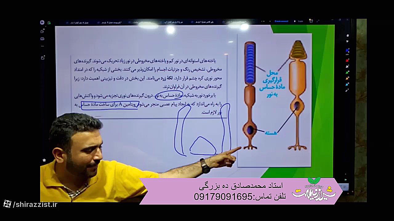 نکته و تست فصل 2یازدهم حواس بینایی شنوایی بویایی منافذ باز پوست