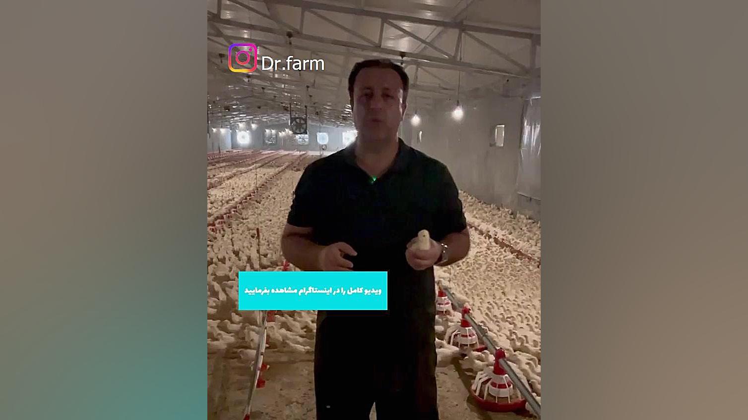 اهمیت یک ماه اول دوره پرورش پولت گیم پلی