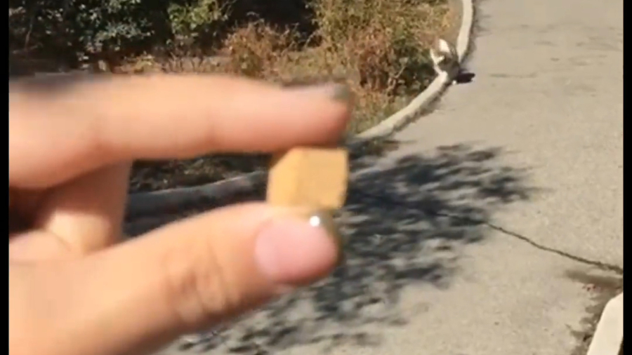 قندی که ضرر نداره !!!!!