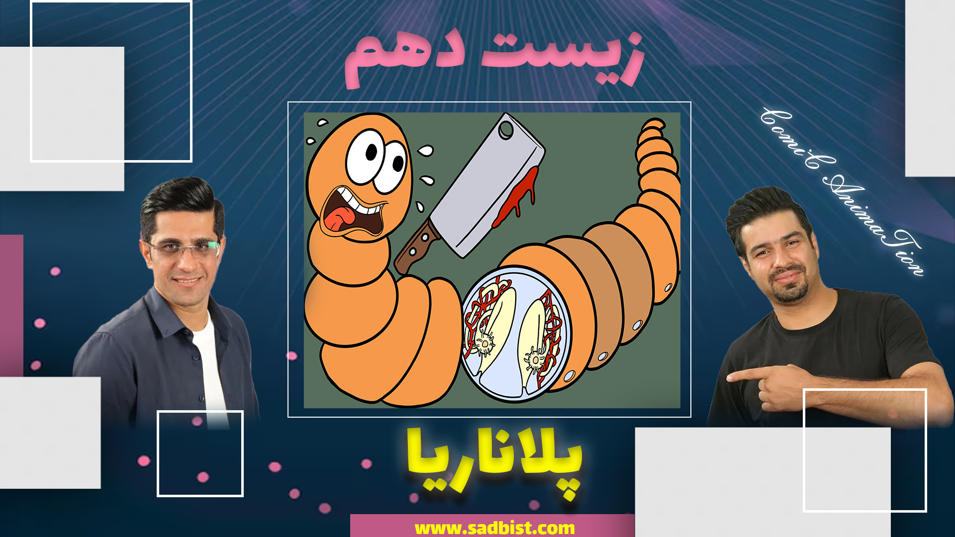 آموزش زیست دهم - دستگاه عصبی جانوران - پلاناریا پیلینگ