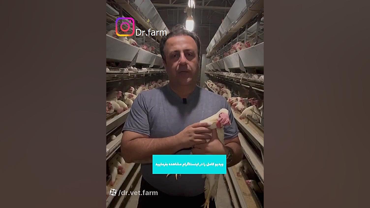 بیماری آبله طیور خفاش لبخند