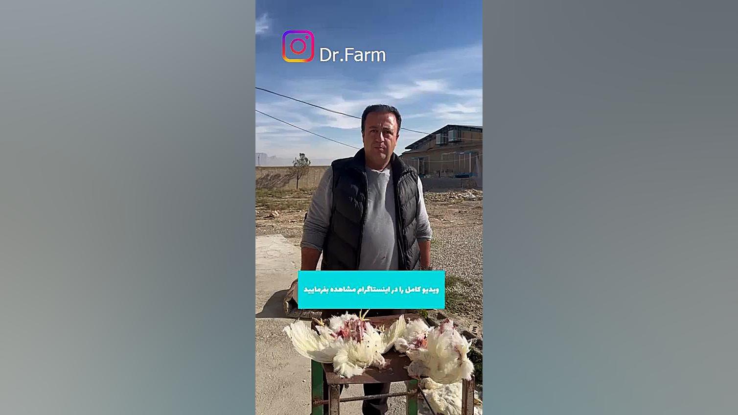 بیماری نقرص در مرغ تخمگذار مهران مدیری