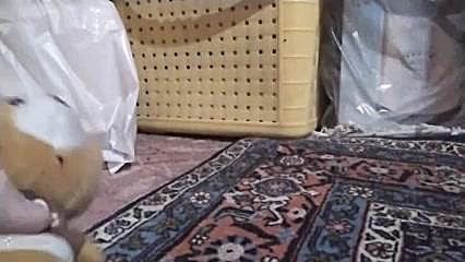 سریال خرس ها فصل ۲ قسمت ۱۲ شهر جدید آخر زمان288ثانیه