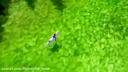 آهنگ باربی و خواهرانش در اسب س...