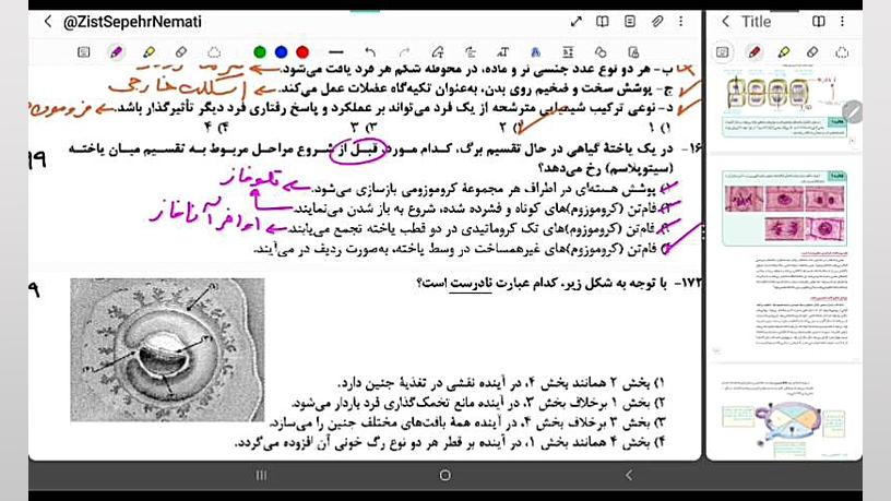 تحلیل سوالات کنکور ۹۸ تا کنکور ۱۴۰۲ از فصل ۶ و ۷ یازدهم ( تقسیم یاخته تولید مثل) تست آنتی‌بادی مونوکلونال