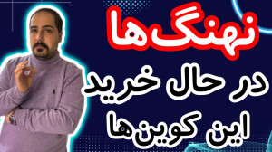 top , gainers , رو , براتون , تحلیل , سیگنال , دادم , روشون , آلت , کوبن , خواستی , عزیزان , تو , ویدیو , ضبط , روزانه , بیت , کوین , محبوب , ارز , دیجیتال , جهان , خوش , آمدید , نگاهی , وضعیت , فعلی , بازار , بیتکوین , روندها , تحولات , اخیر , میکنیم , بینشهایی , میتوانیم , آینده , انتظار , ارائه , سال , سرفصل , خبرها , ارزش , بالاترین , حد , رسیده , حال , ارزهای , رمزپایه , شدت , نوسان , قیمت , سرعت , افزای