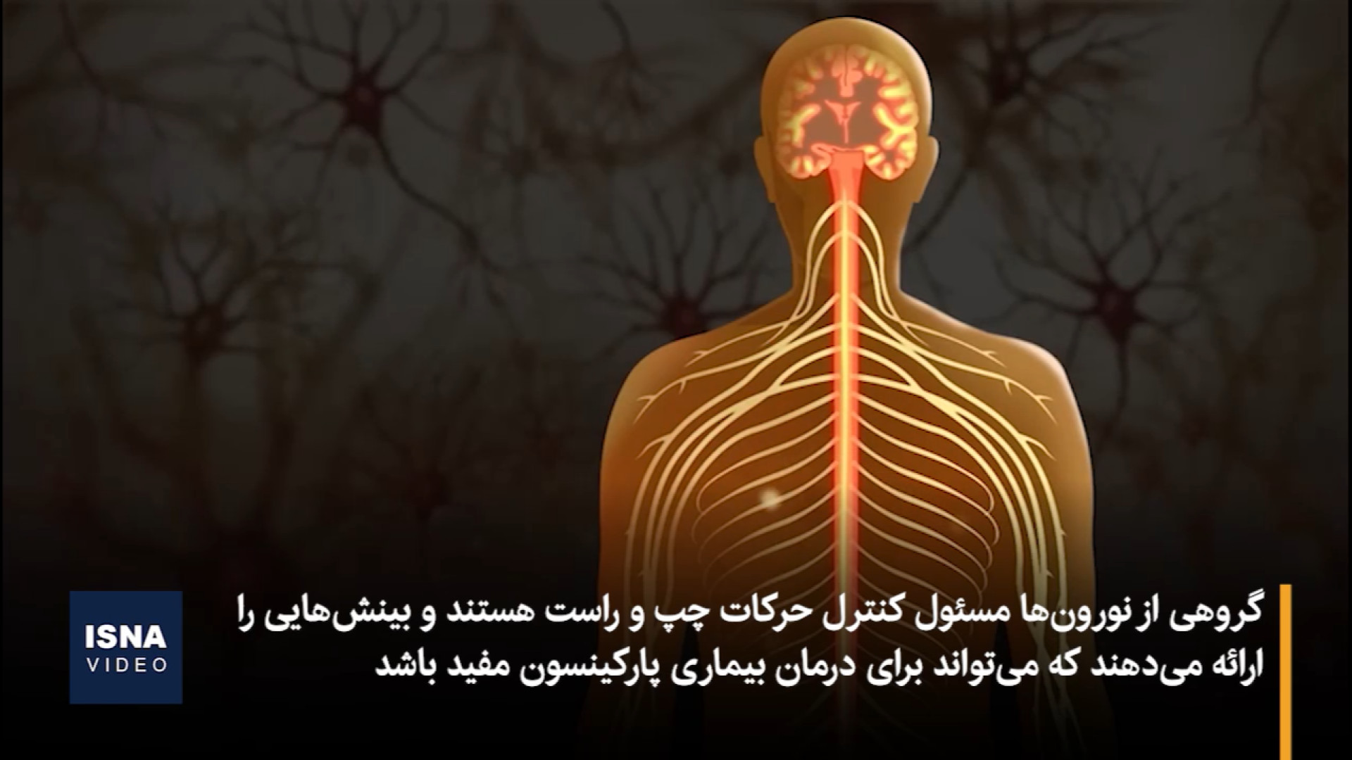 امیدواری برای درمان بیماری پارکینسون با سلول‌های بنیادی پست اردکی