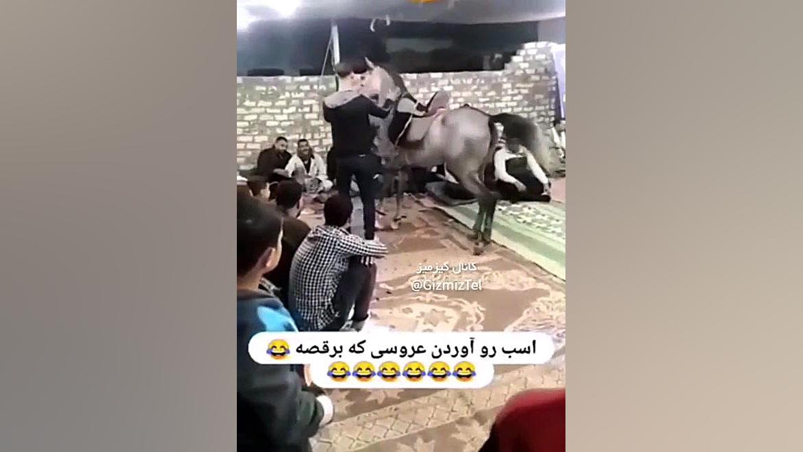 اسب وسط عروسی آخه؟! نیکی کریمی
