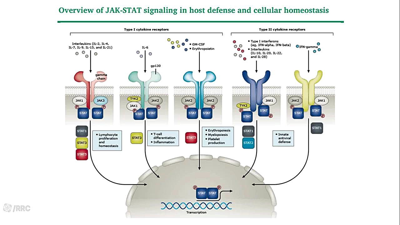 DMARD هایفوتراپی