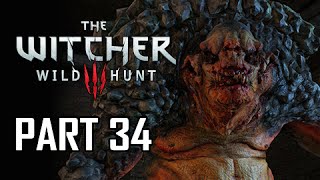 راهنمای The Witcher 3: Wild Hunt-قسمت سی و چهارم