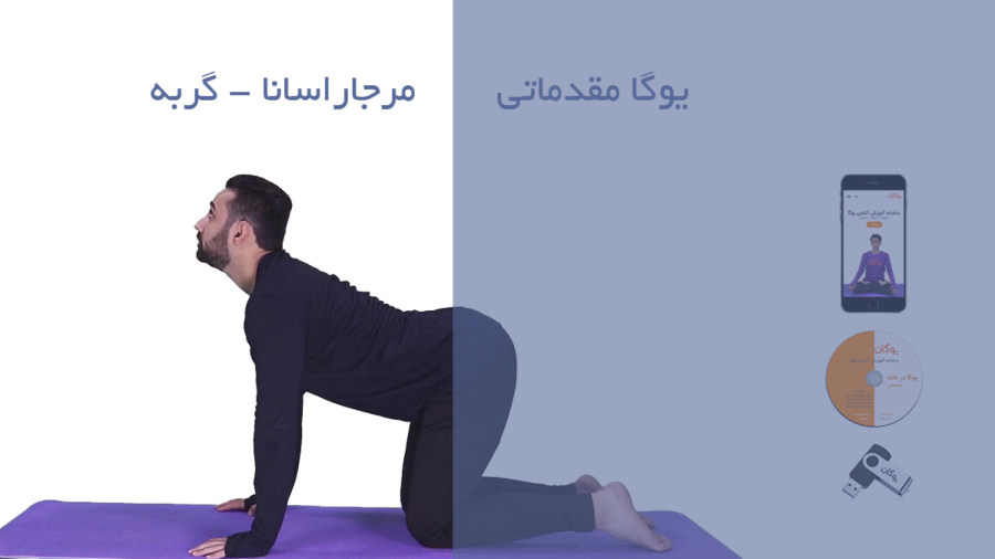 یوگا مقدماتی - حرکت مرجاراسانا یا حرکت گربه