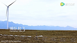 پهپاد چینی خوشه تجربی