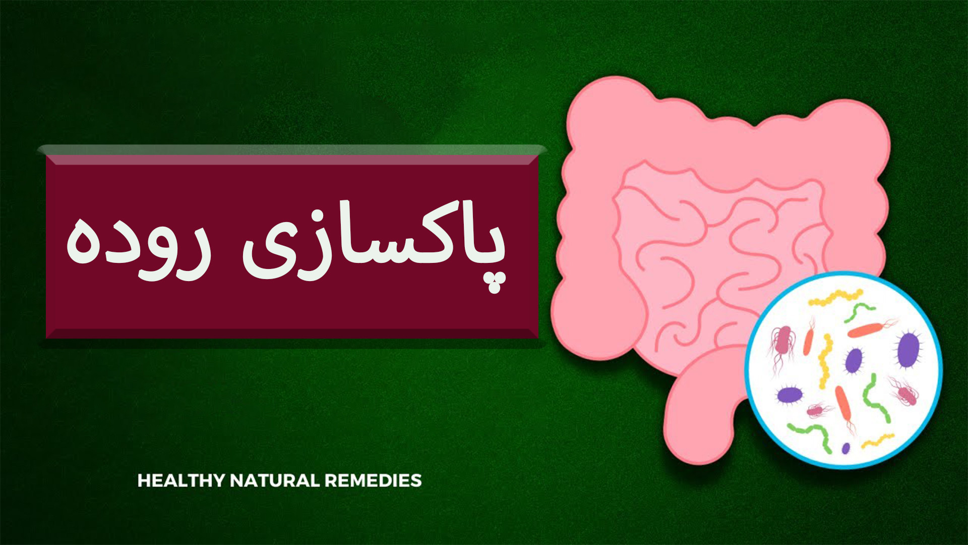 پاکسازی روده ها / نحوه پاکسازی دستگاه گوارش / سلامت روده ها پریودنتیکس