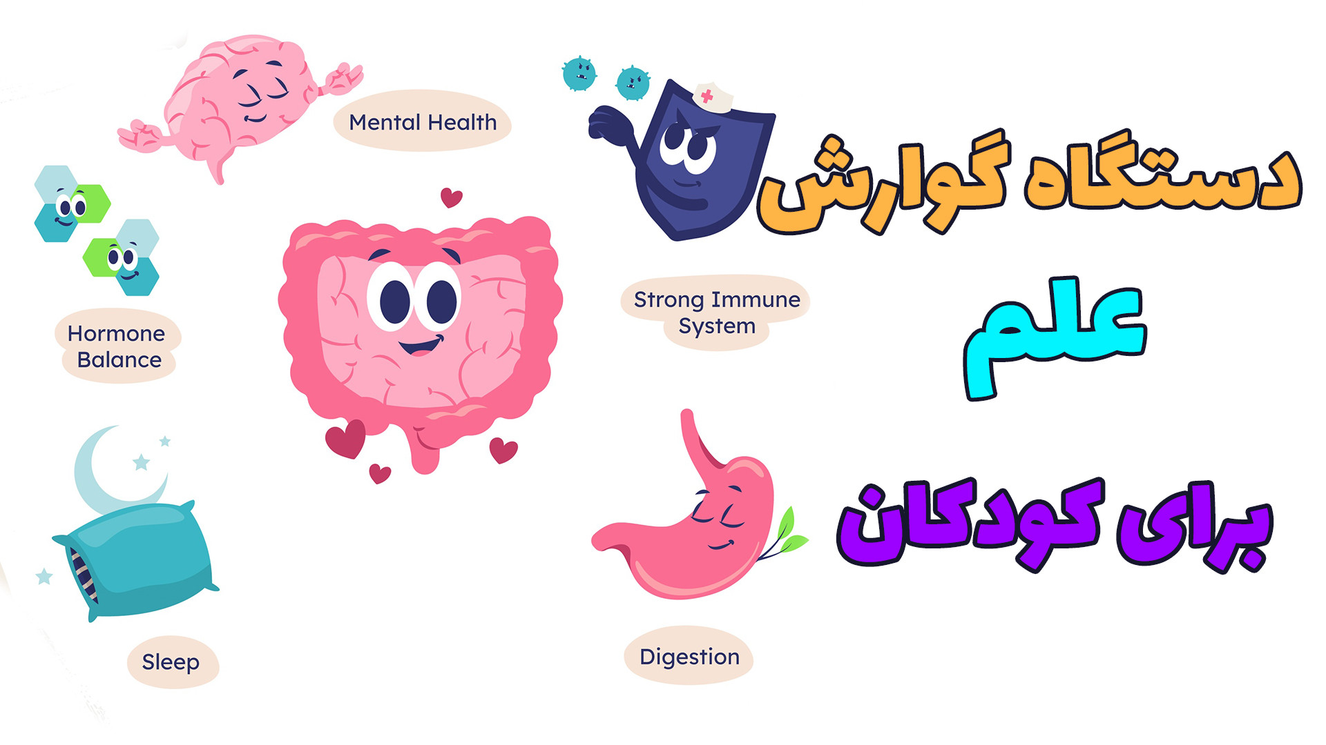 دستگاه گوارش | علم برای بچه ها تزریق ژل