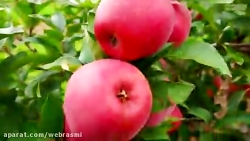 جملات تاثیر گذاز و تکان دهنده...