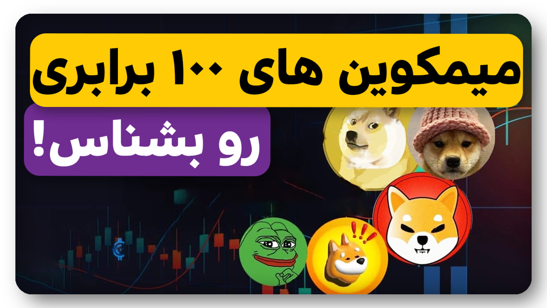 میم , کوین , انفجاری , برابری , بشناسی , ویدیو , در‌ , معرفی , میمکوین , قابلیت , رشد , ۱۰۰ , برابری‌ , سایت , معتبر , گیپ