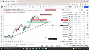 تحلیل , بیبی , دوج , BABYDOGE , اسفند , منظور , مشاهده , جزئیات , وارد , لینک , شوید , https: , zoomarz , com , babydoge-analysis