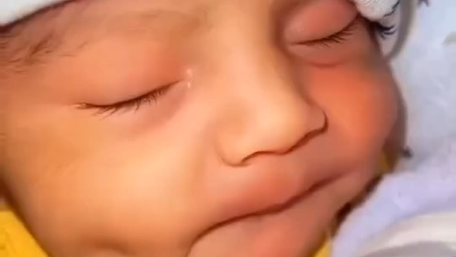 جزئیات در سونوگرافی آهنگ لوطی‌پنگ