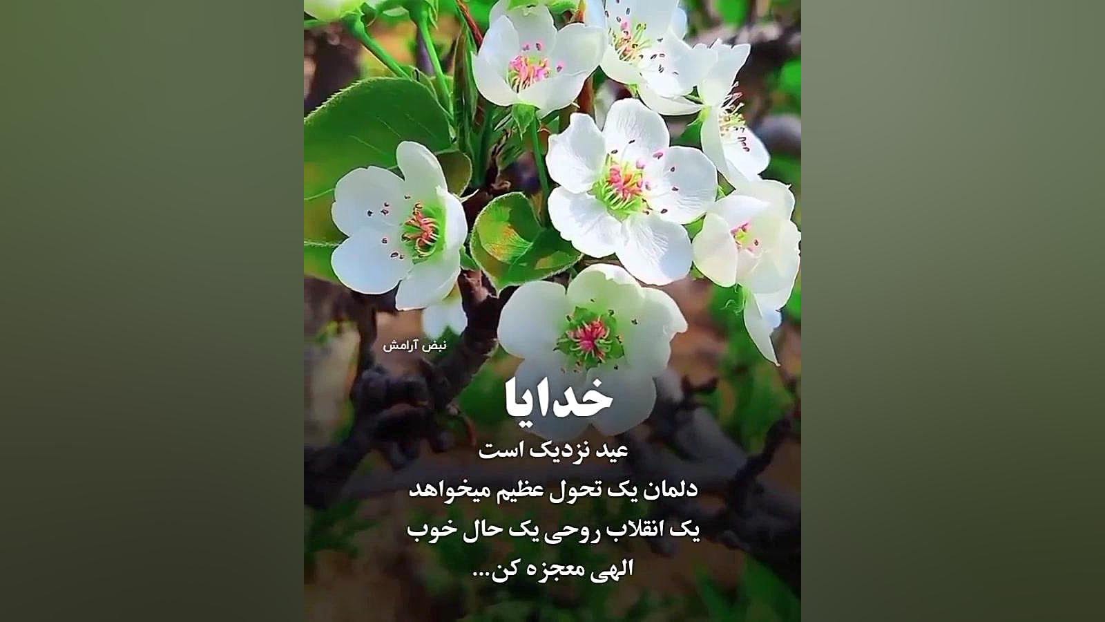 عید نزدیک است... سنداکتیلی