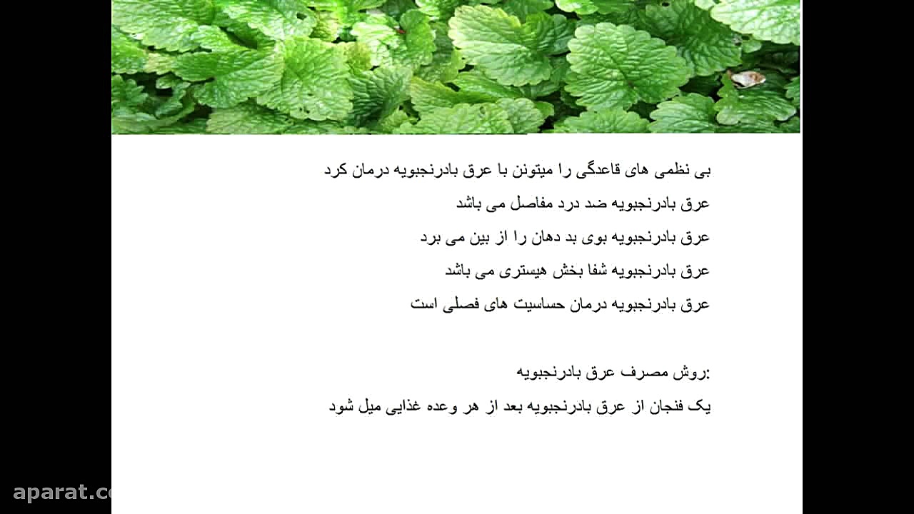 خواص عرق بادرنجبویه تزریق چربی