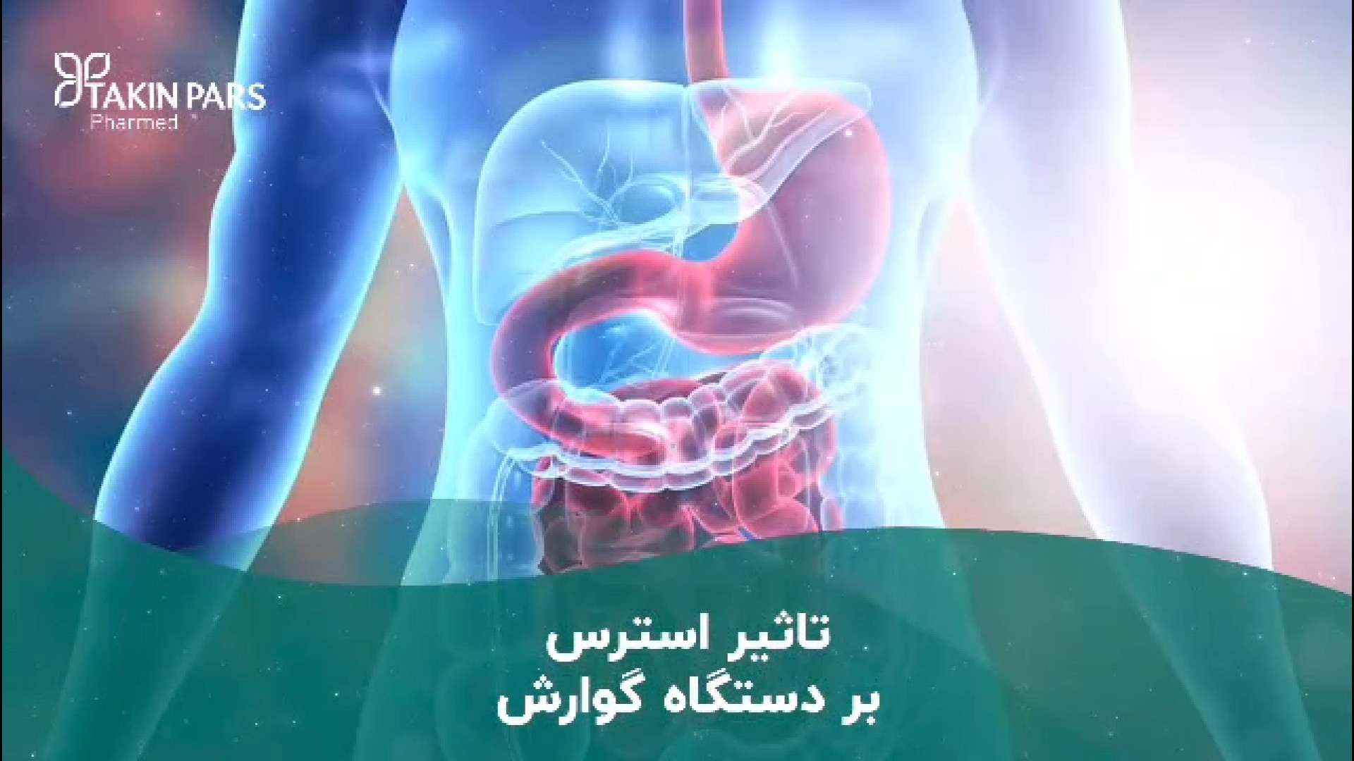تاثیر استرس بر دستگاه گوارش و استرس روده چیست ؟ کلینیک پوست