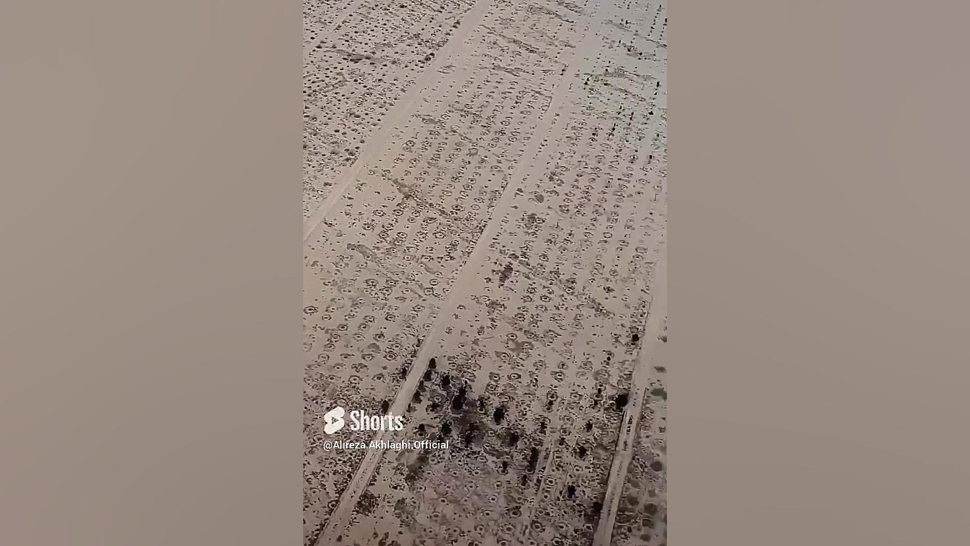 پوستر بزرگ