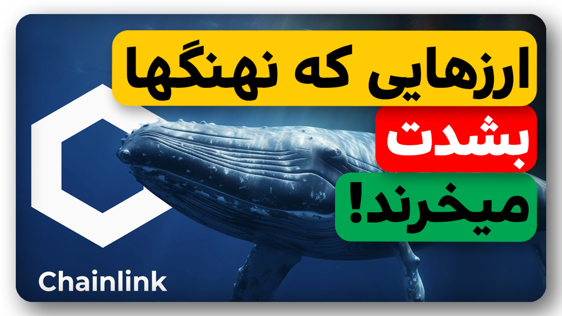 ارزدیجیتال , نهنگ , بشدت , حال , خرید , ویدیو , معرفی , بررسی , کامل , رمزارز , روزها , نهنگها , در‌حال , انباشت , روند , صعودی , بعدی , بازار‌