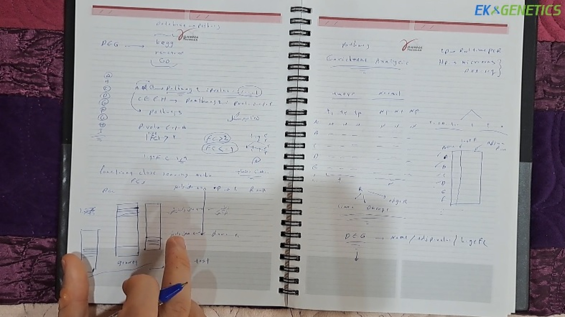 بیوانفورماتیک - مقدمه ای بر Enrichment Analysis در ژنتیک - (جلسه 1) درمان جای جوش
