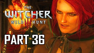 راهنمای The Witcher 3: Wild Hunt-قسمت سی و ششم