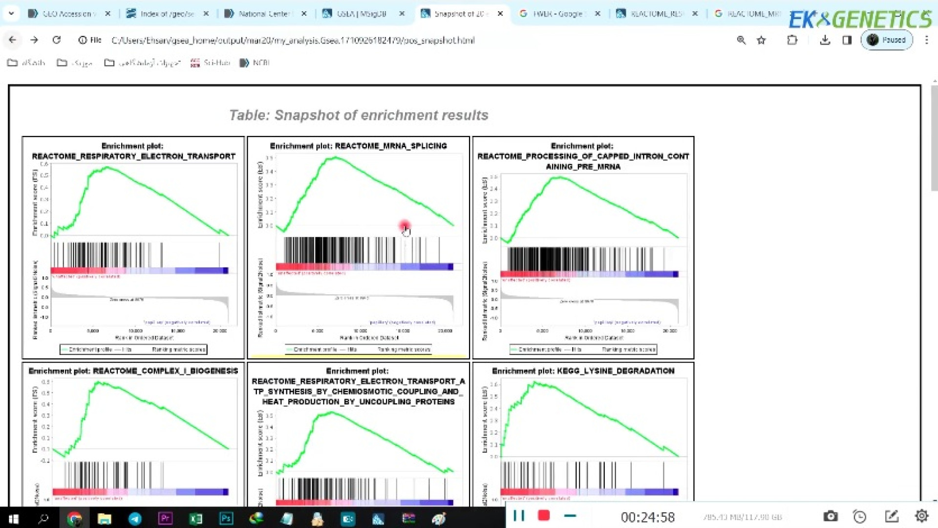 بیوانفورماتیک - Gene Set Enrichment Analysis در نرم افزار GSEA - (جلسه 2) اینفلوئنسر بامزه