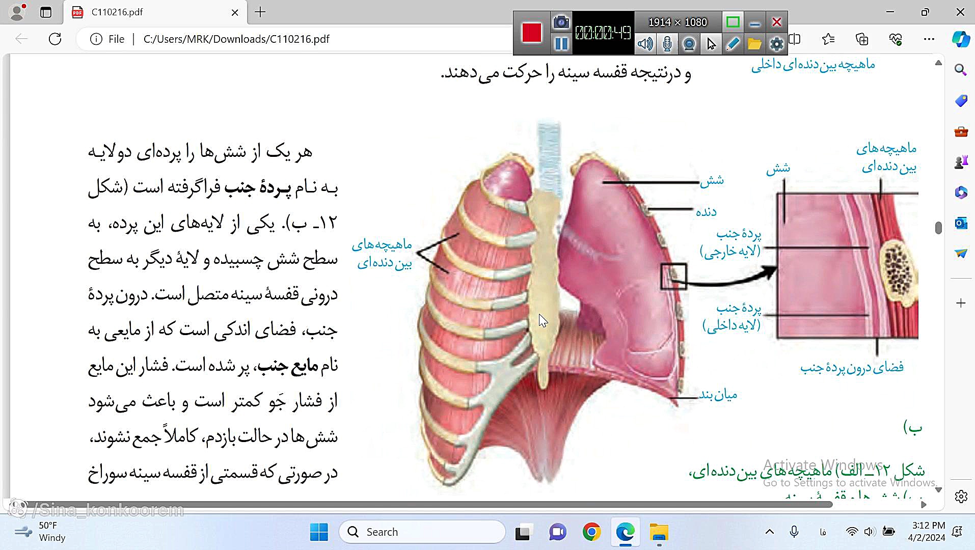 تحلیل شکل دستگاه تنفسی لیپوست