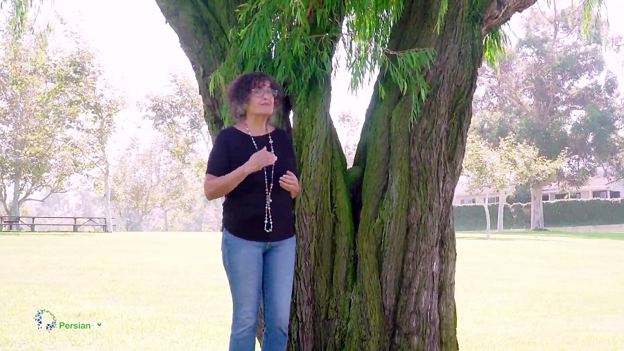 استرس حضور در جمع