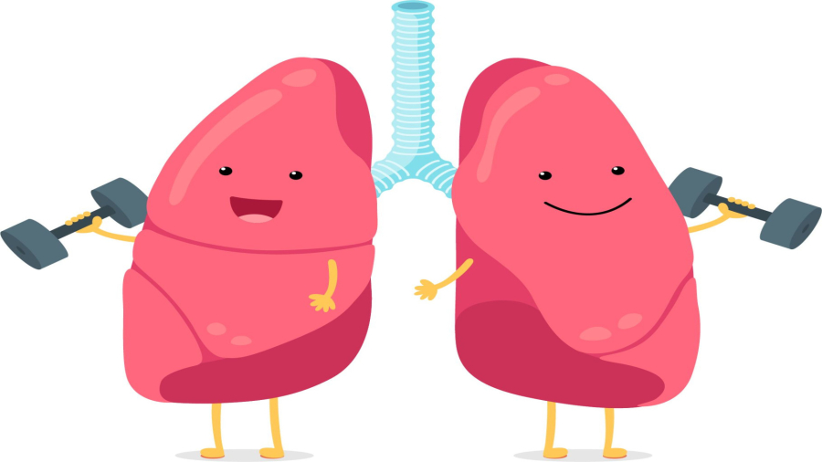 تنفس شکمی دیافراگمی در( یوگا )مرحله اول