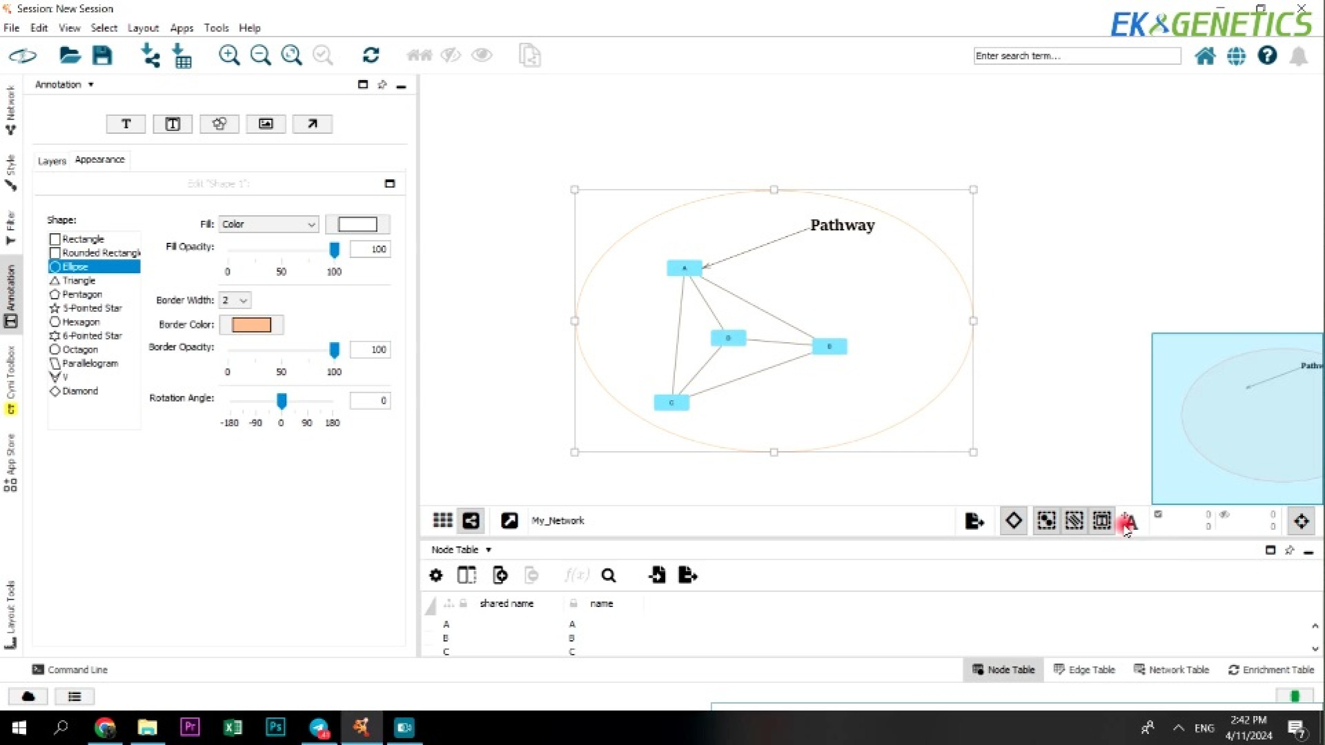 بیوانفورماتیک - آموزش نرم افزار Cytoscape - جلسه 2 درمان سلولیت