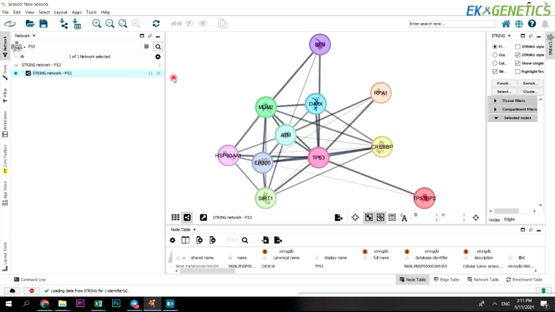 بیوانفورماتیک - آموزش نرم افزار Cytoscape - جلسه 4 مریل استریپ