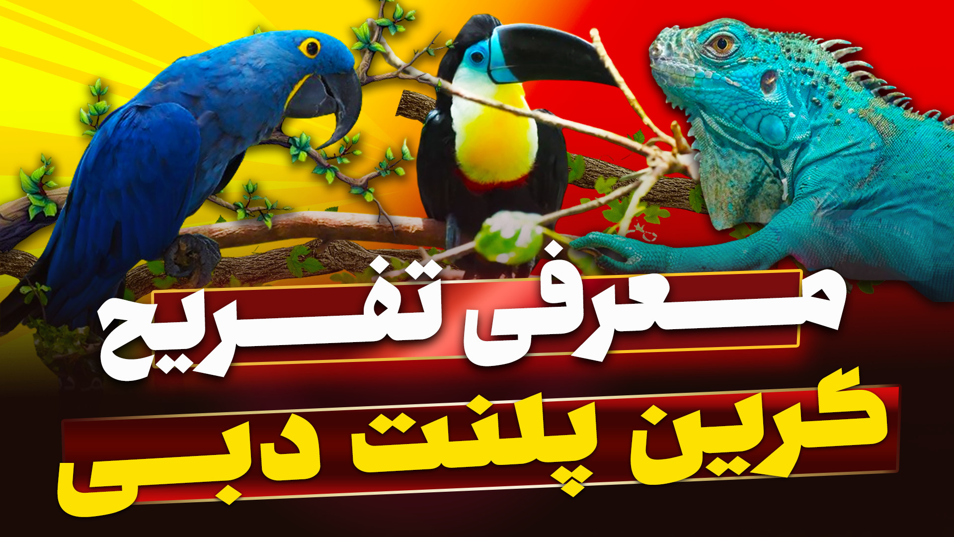 پوستر بزرگ