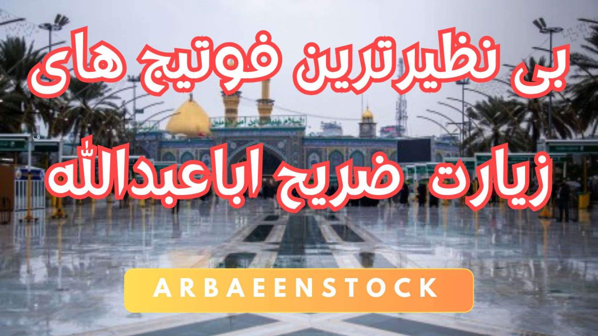 فوتیج خیل عاشقان در حرم