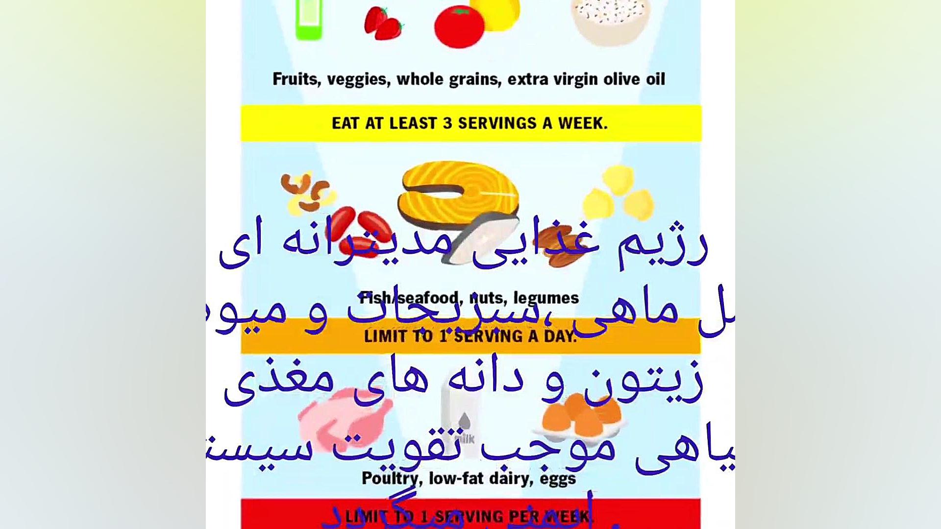 شناخت ساختار و عملکرد سیستم ایمنی مجله آنکولوژی ( دکتر رضا )خدابخشی