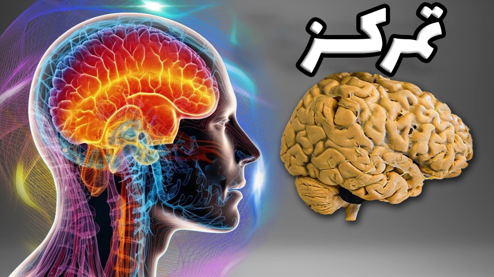 تمرکز و عصب شناسی مغز چگونه است ؟ ارتودنسی