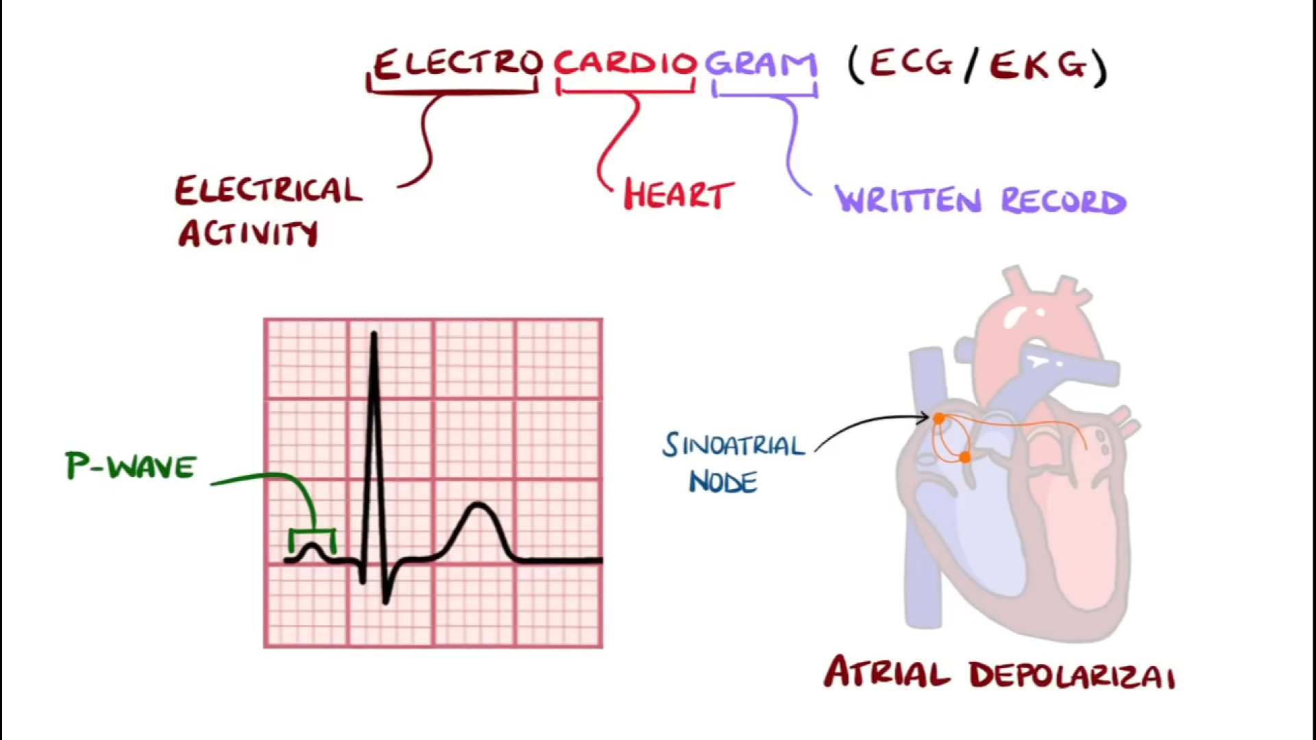 تفسیر آسان نوار قلب (یاد بگیرید چگونه ECG را در 13 دقیقه تفسیر کنید) ترمیم زیبایی دندان