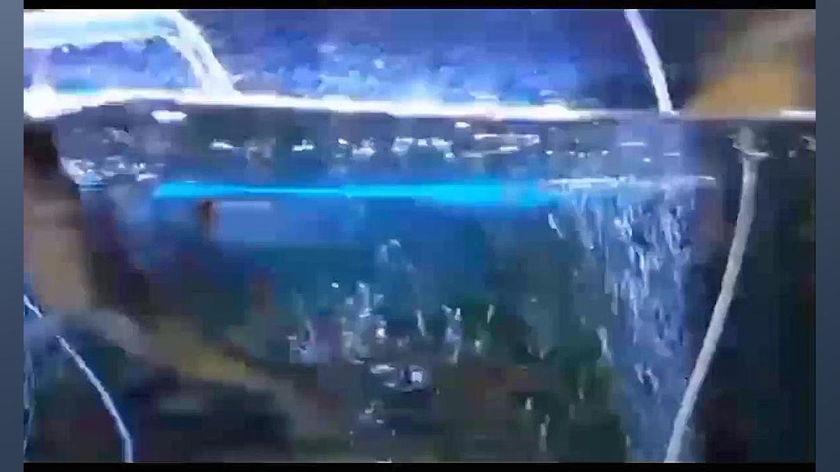 ماهی آکواریومی معروف به کوسه /پنگوسی زمان181ثانیه