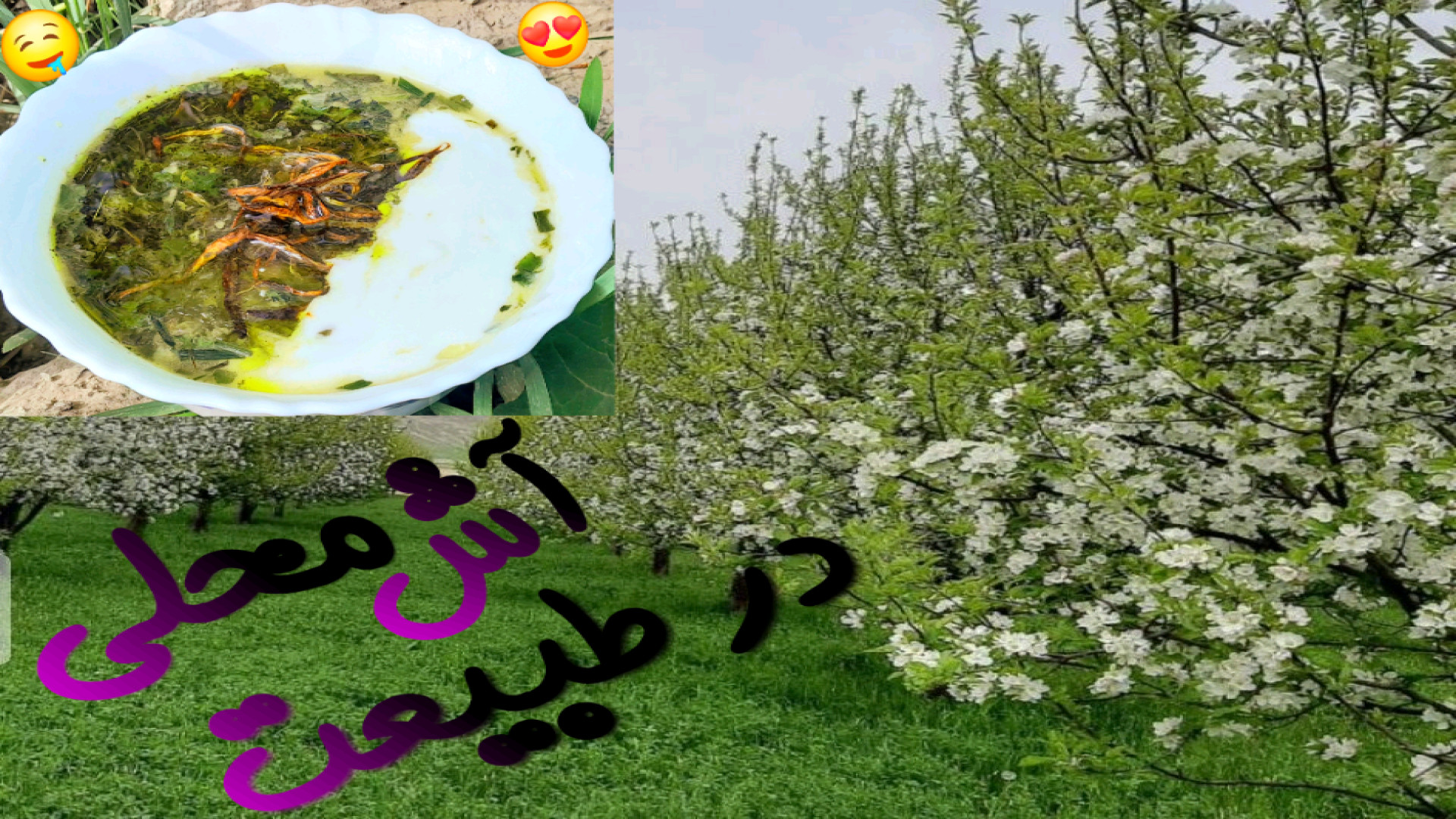 Ashpazi.mahdiyeh