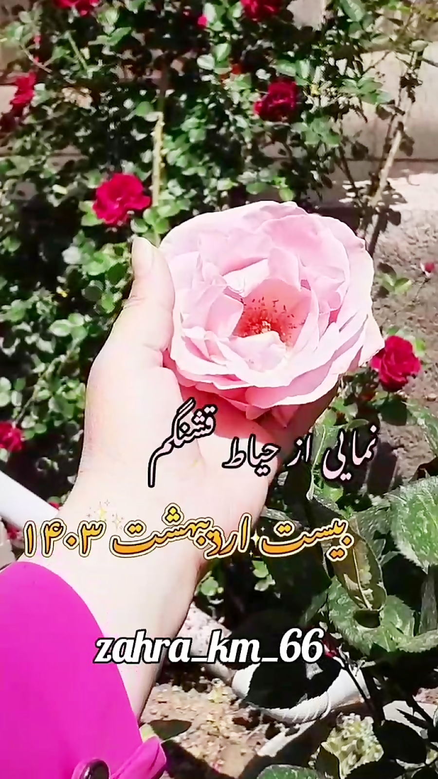 حیاط خونه ما