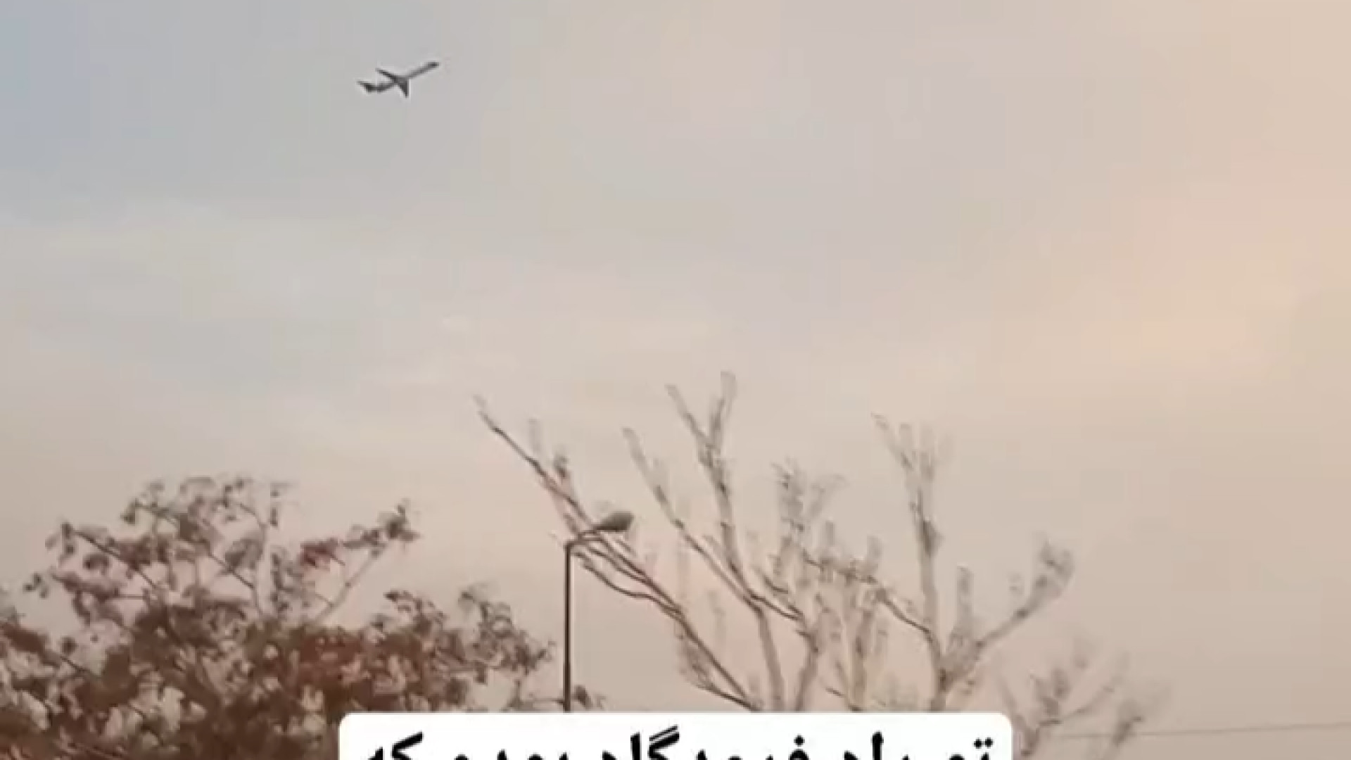 پوستر بزرگ
